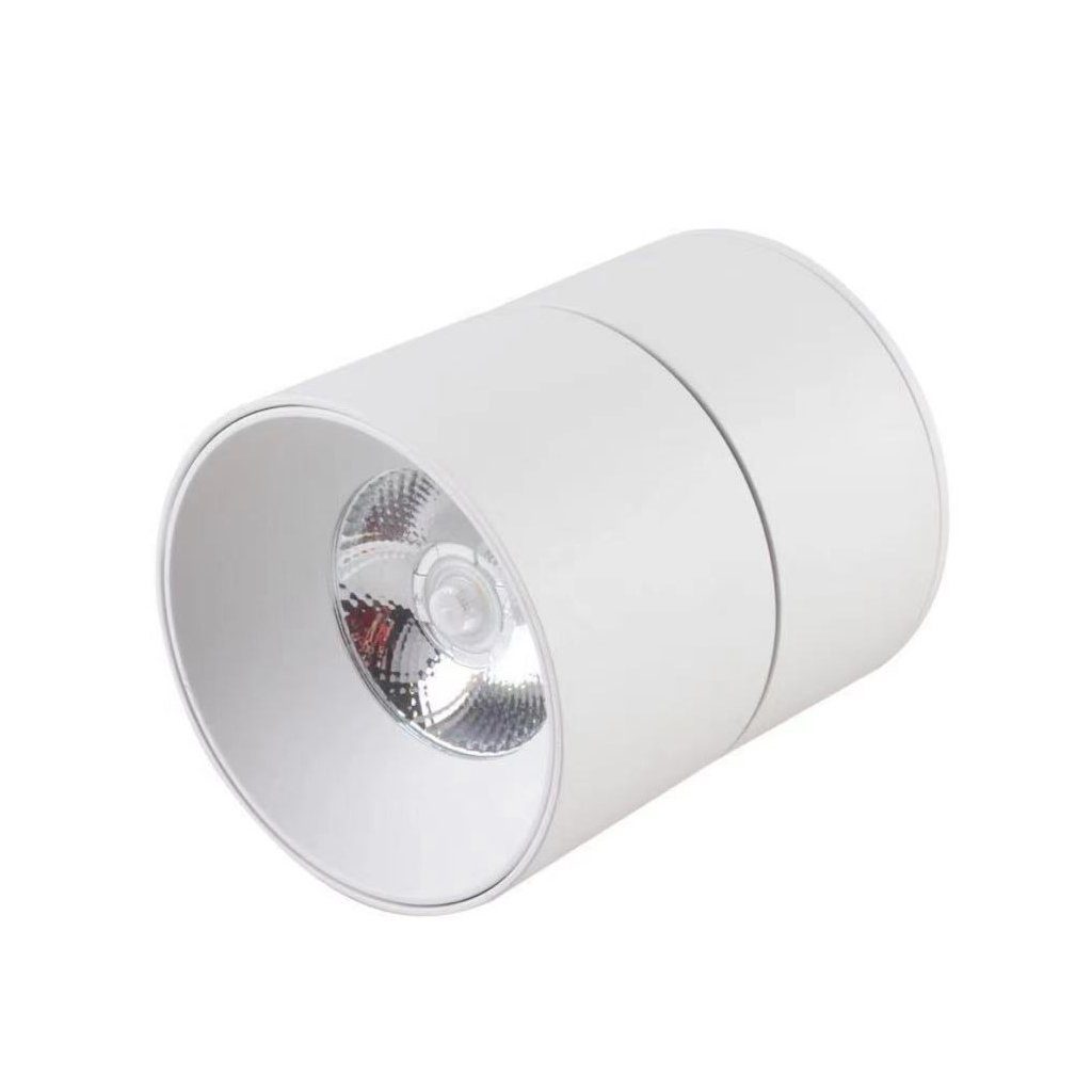 CRETEIL – Applique LED Cylindre saillie orientable blanche 15W CCT Tricolor IP20
